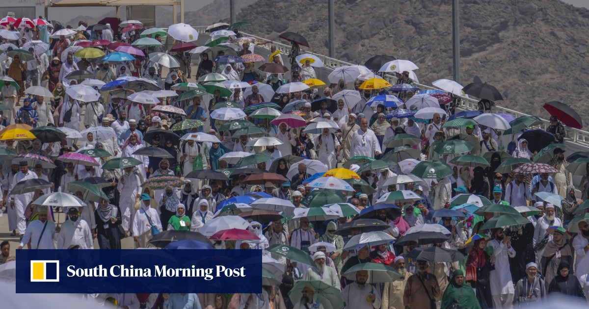 Hundreds die on haj pilgrimage amid extreme heat in Saudi Arabia: reports