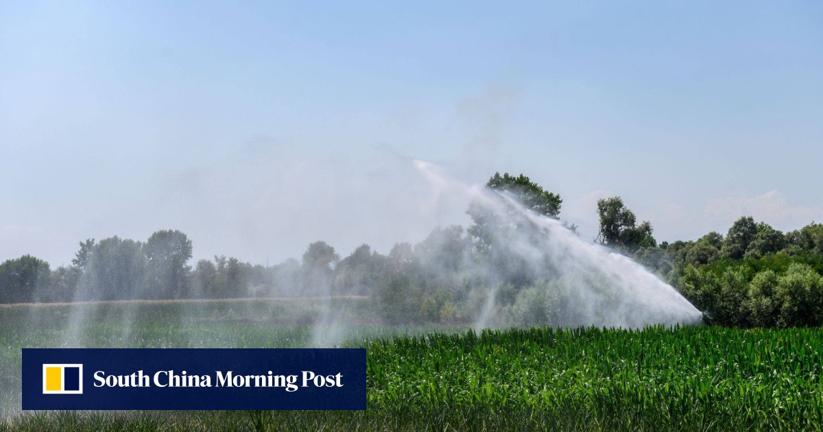 Indian agricultural worker dies in Italy after gruesome accident
