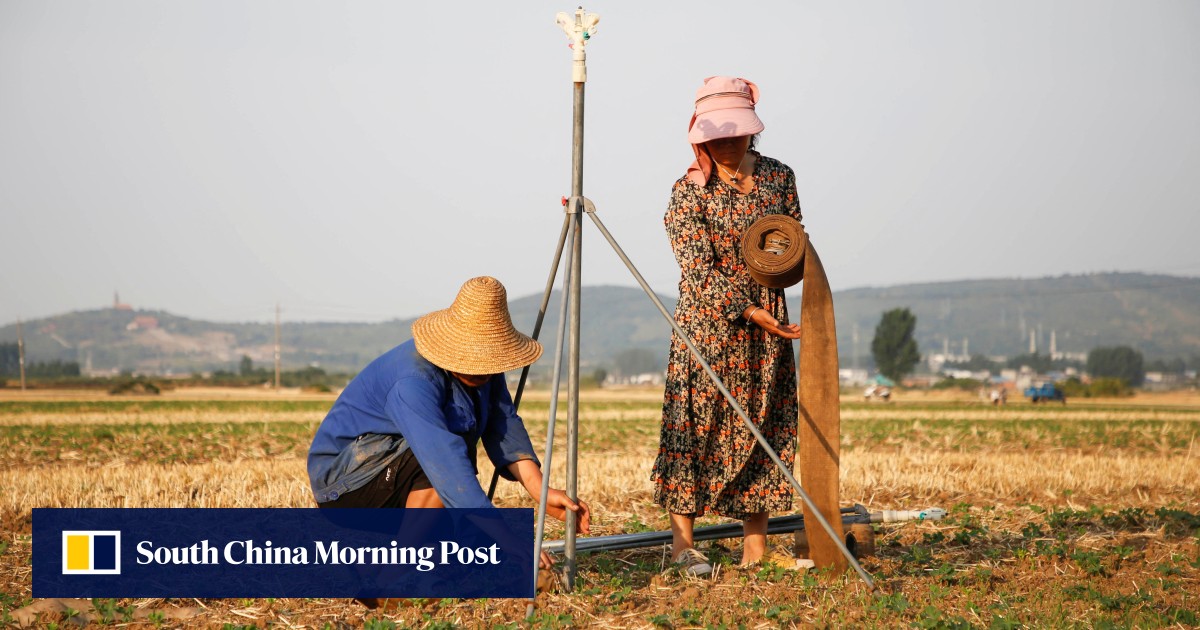China’s rural-urban divide, tax system weigh down economic potential, former official says