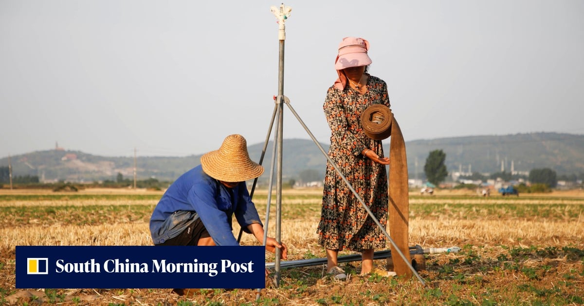 China’s rural-urban divide, tax system weigh down economic potential, former official says China’s rural-urban divide, tax system weigh down economic potential, former official says