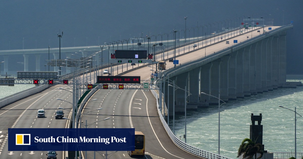 ‘Hong Kong should look at economic impact of northbound travel amid driver scheme’