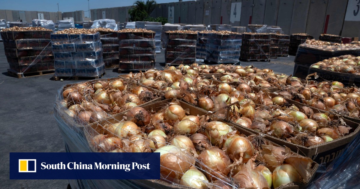 Food piles up at Gaza crossing as aid agencies say unable to work