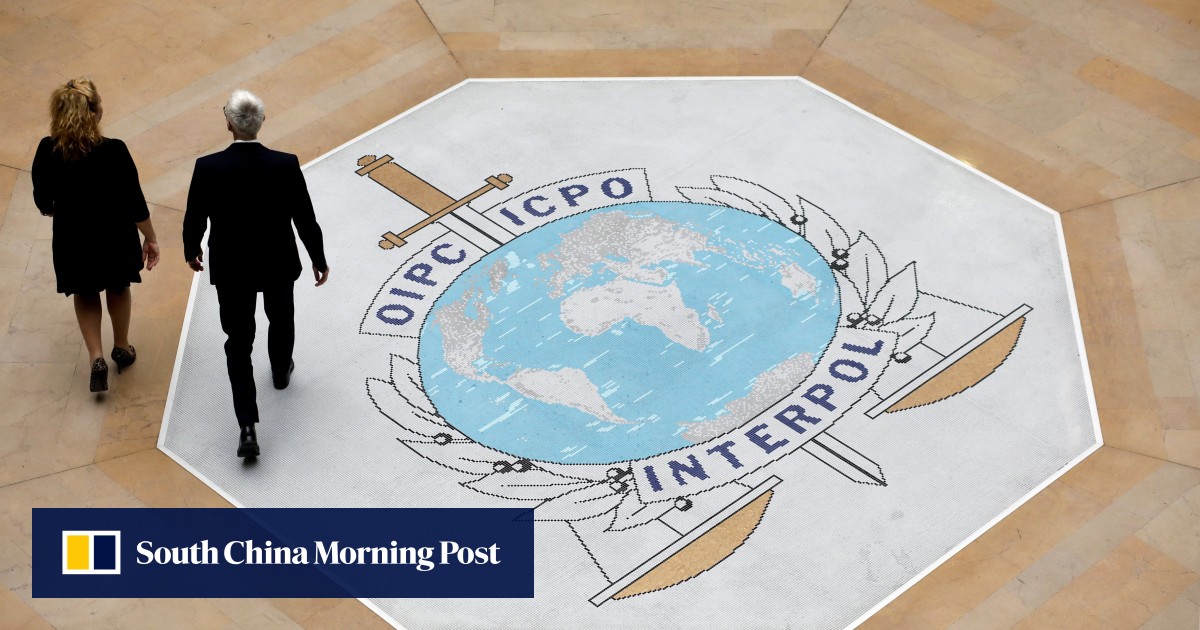 Brazilian to become first head of Interpol from developing world