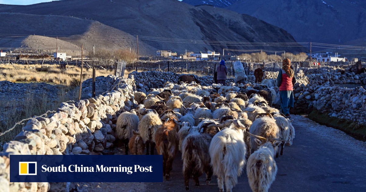 Herders hemmed in by India and China’s Himalayan stand-off: ‘every year our difficulties mount’