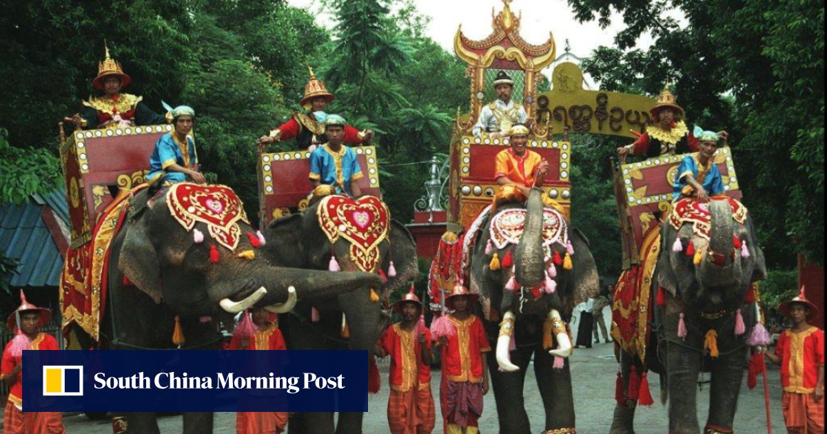 Japanese zoo urged to reject elephants from Myanmar junta due to propaganda value