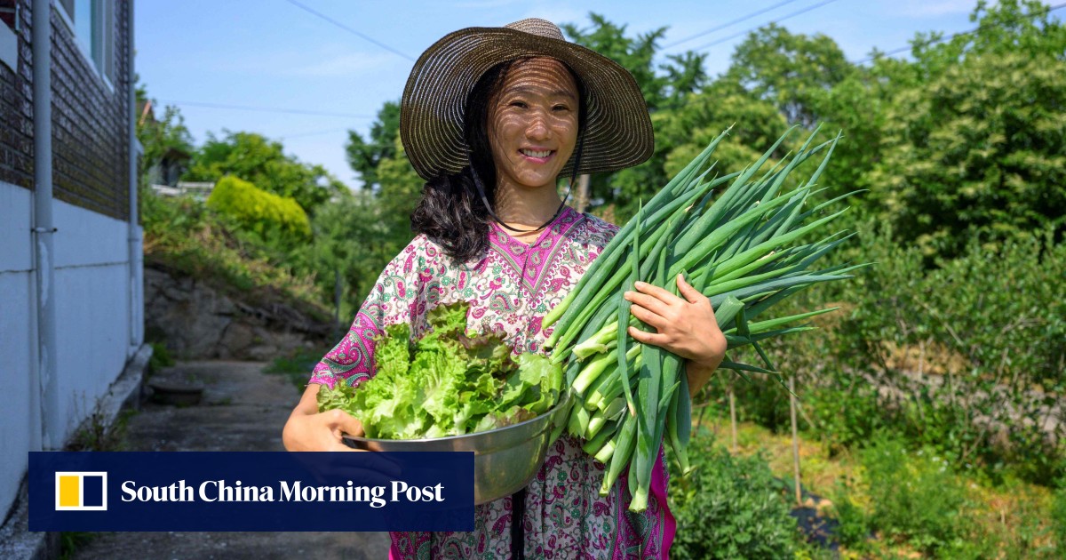‘Selfish’? South Korean woman who promotes unmarried, childless life becomes YouTube star