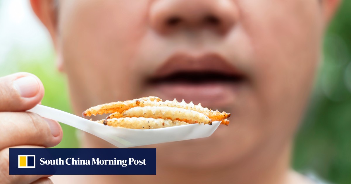 Singapore approved insects as food, but can consumers stomach it ...