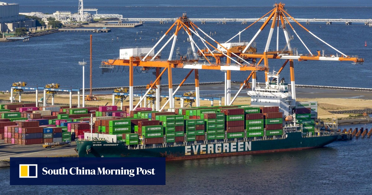 日本はどれくらい中国からの輸入を必要としているのか? 驚異的な成長を遂げている家電ビジネスとは? 日本はどれくらい中国からの輸入を必要としているのか? 驚異的な成長を遂げている家電ビジネスとは?