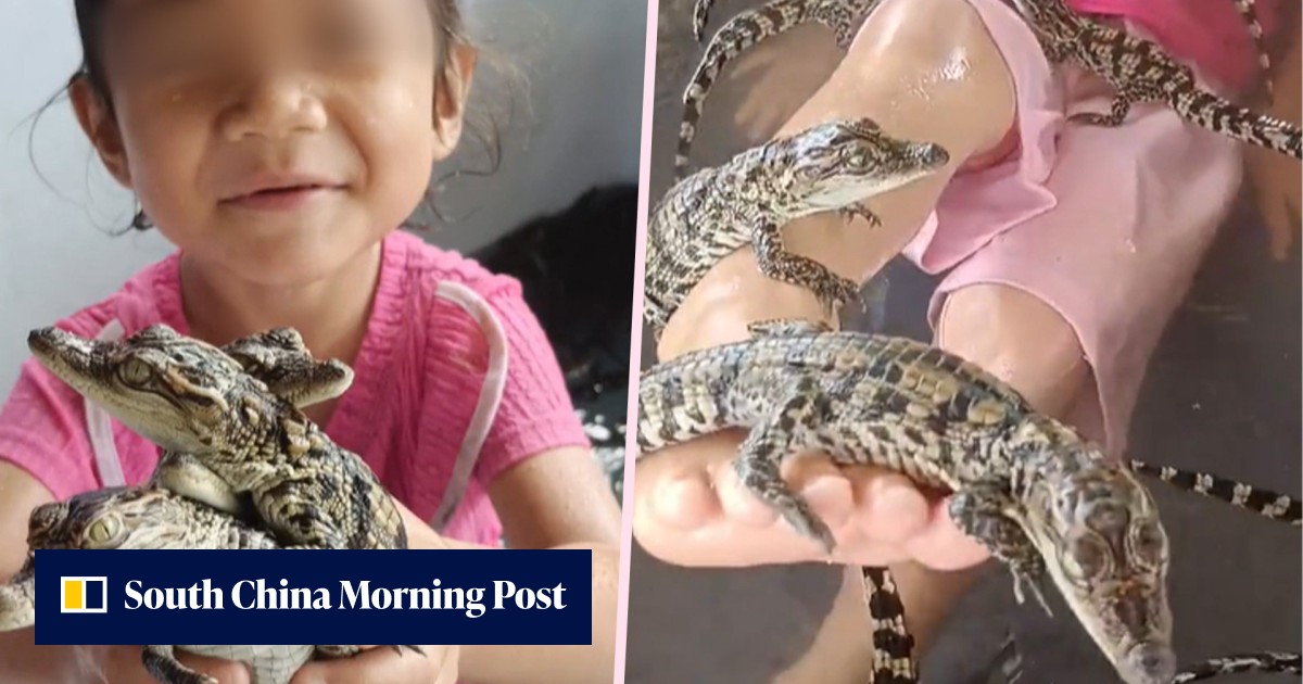 Reptile rage as Thai mother allows daughter, 4, to play in pool with ...