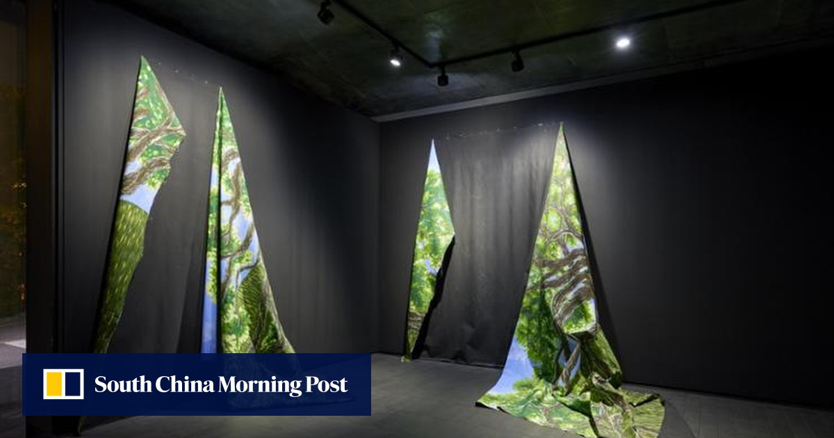 Why artists are like albatrosses on land, and how there’s beauty in their inefficiency