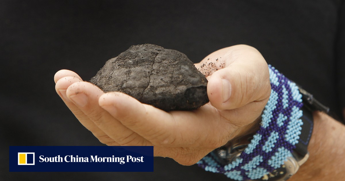 India ‘racing’ to get Pacific Ocean licences to scout for critical minerals used in EVs