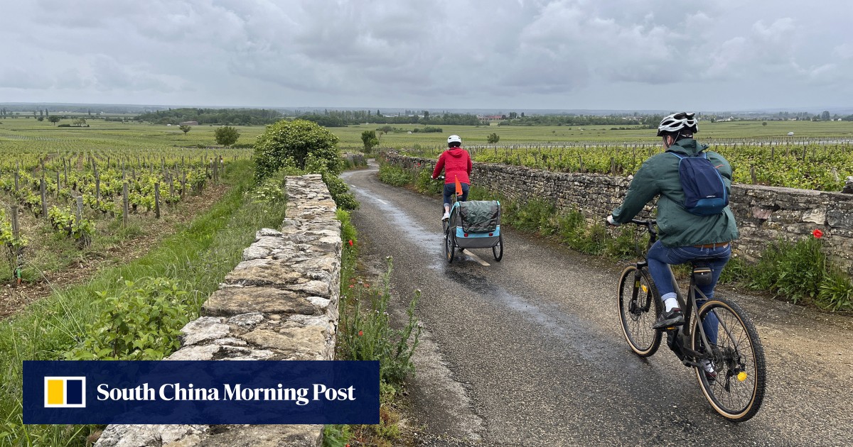 Exploring Burgundy by bike, it’s easy to get off the beaten track in French wine region