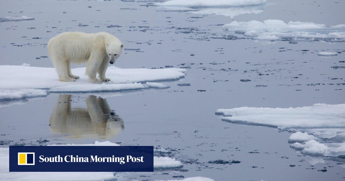 Pentagon to bolster response to China, Russia in melting Arctic