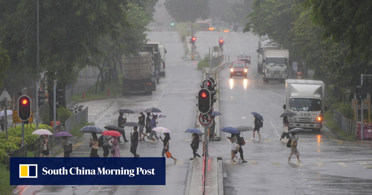 Some high-speed rail services between Hong Kong and mainland China axed due to poor weather
