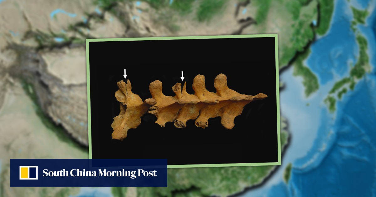 Ancient human sacrifice in China likely served to reinforce social hierarchies