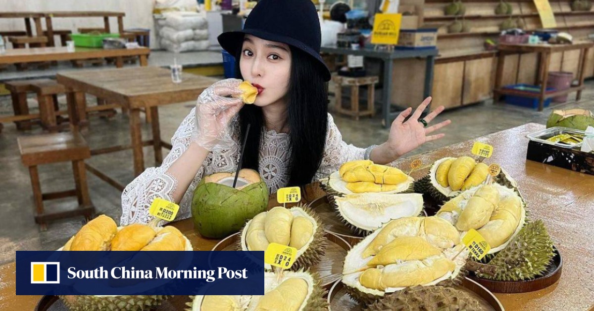 范冰冰引发狂热 中国游客在马来西亚马六甲大吃榴莲
