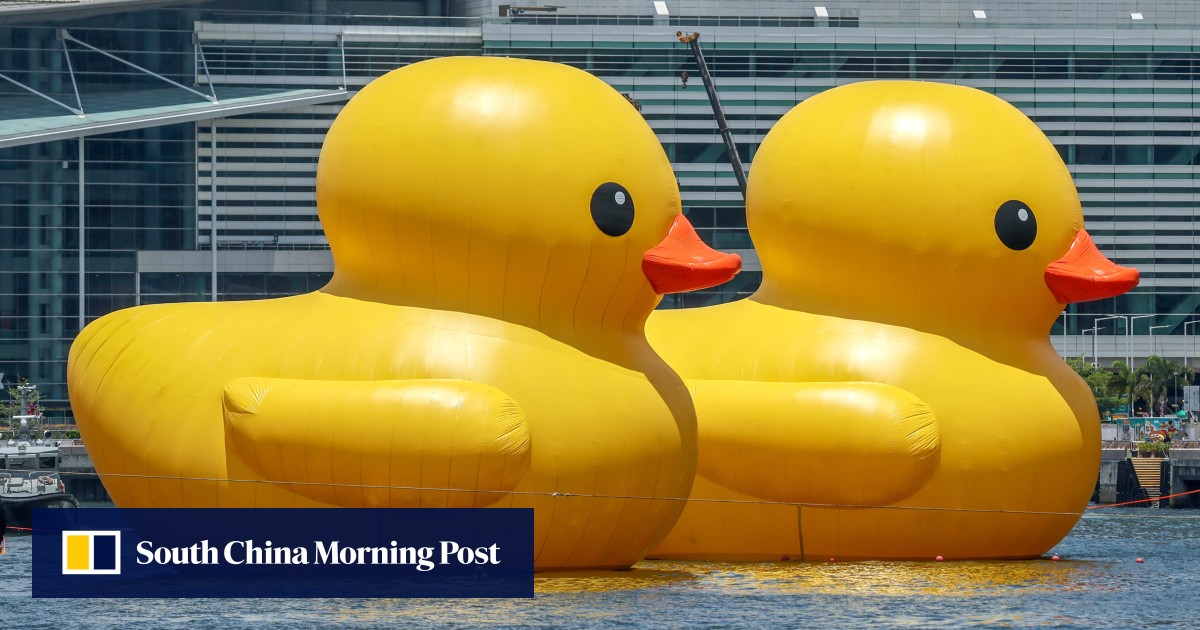 Rubber ducks riding high from Hong Kong to hotel rooms to cruise ships