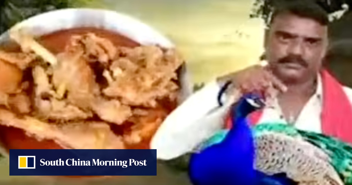 Indian YouTuber arrested after peacock curry video, sparks outrage for cooking national bird