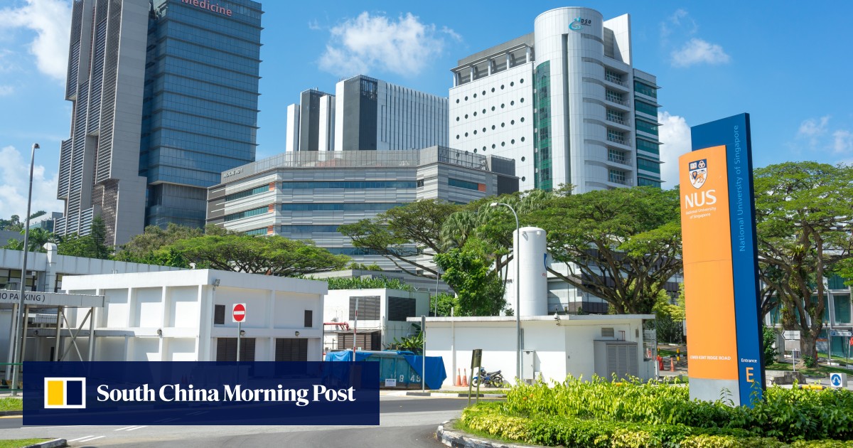 ‘Not a bad thing’: Chinese students gave tours of National University of Singapore for cash