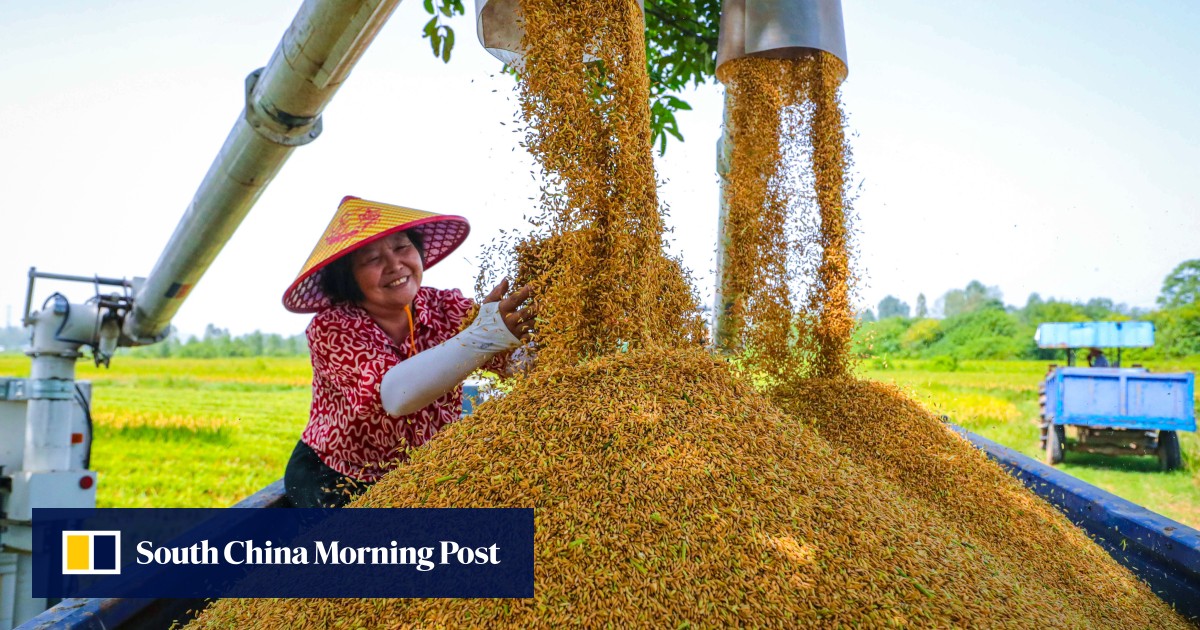 China sows seeds of self-reliance with ‘historic breakthrough’ in agricultural autonomy