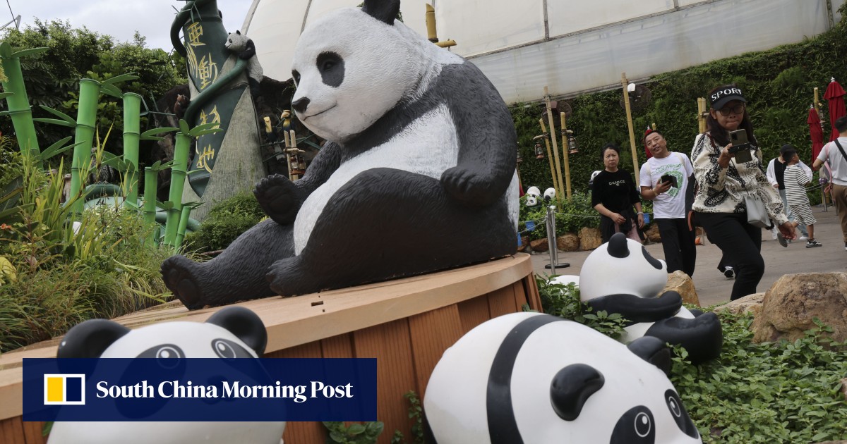 Hong Kong panda cubs can help boost economy and residents’ national identity: lawmakers – Technologist