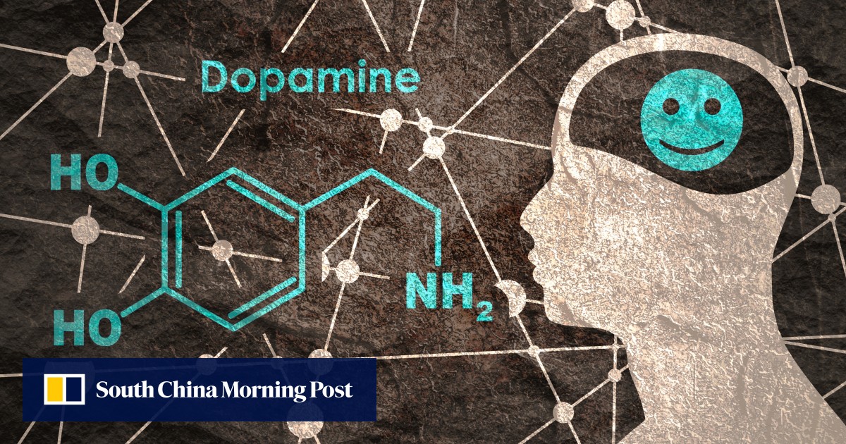 Chinese study sheds light on how dopamine transporters can lead to the formation of the “feel-good hormone”