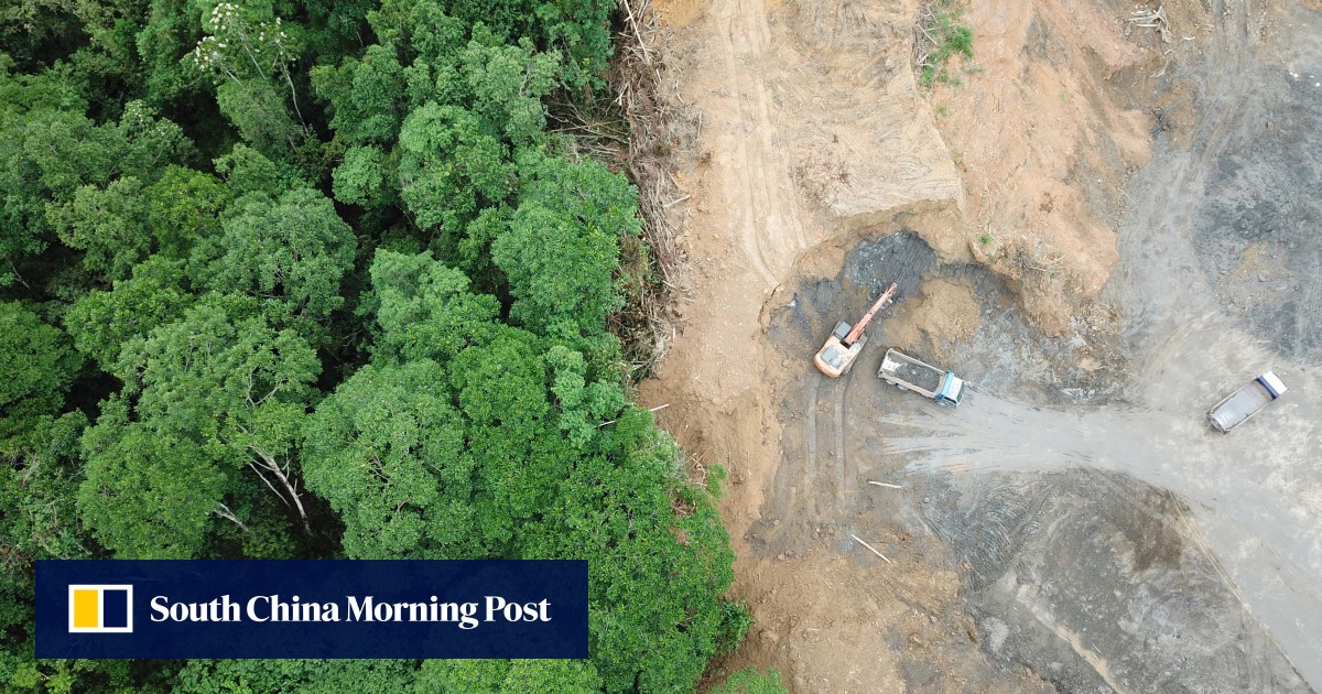 Energy-hungry Singapore looks for clean energy in Malaysia’s rainforests and Australia’s deserts