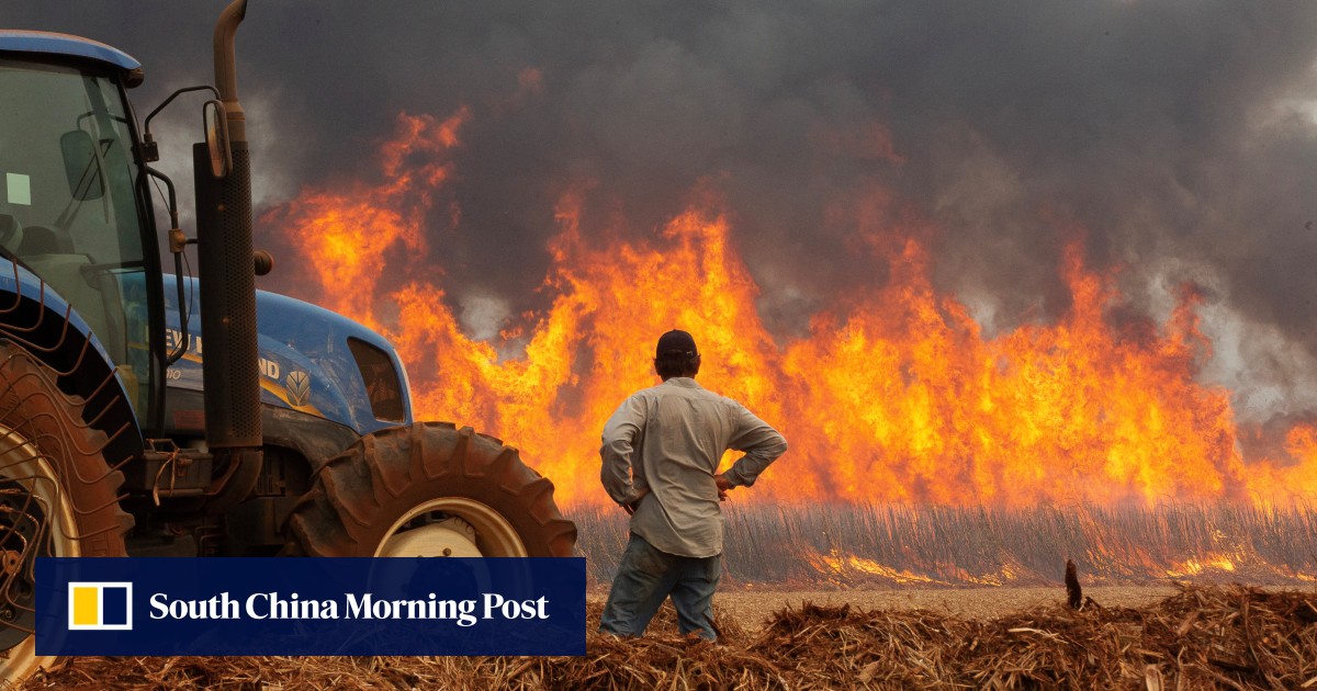 Brazil Deploys Military Planes to Combat Wildfires