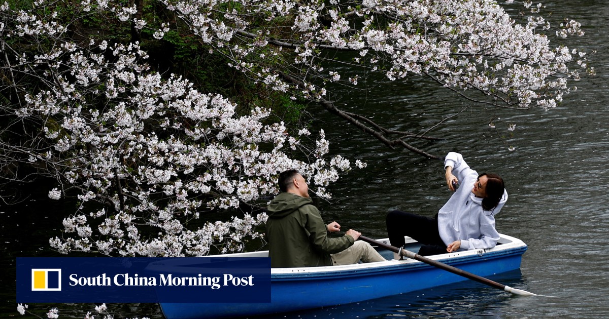 Japan to unveil new entry rules for visa-exempt tourists to deter illegal migration Japan to unveil new entry rules for visa-exempt tourists to deter illegal migration