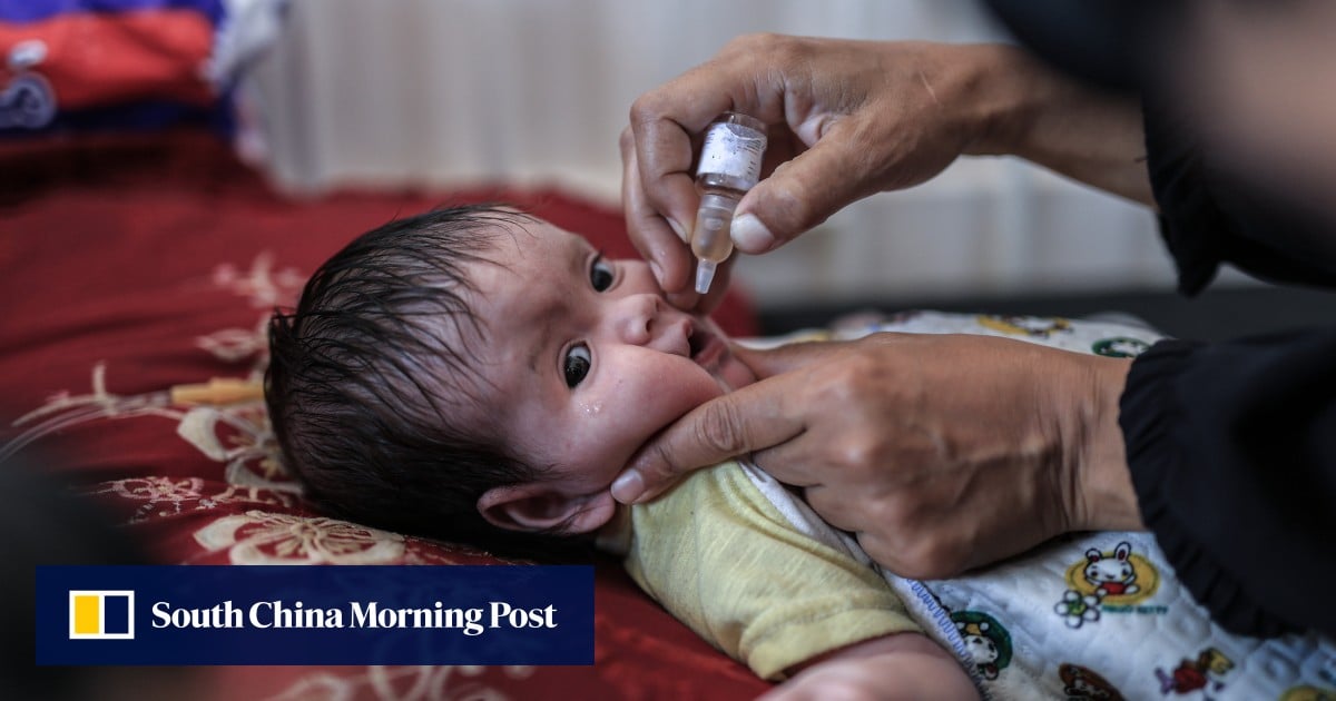 UN begins Gaza polio vaccine campaign as strikes continue and West Bank remains on edge