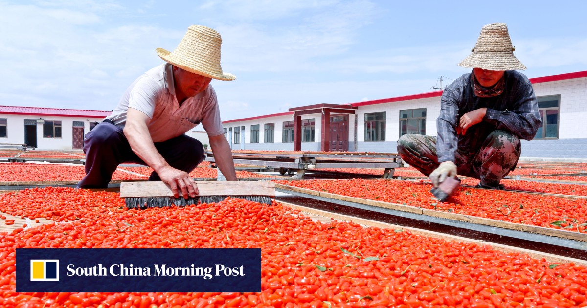 Chinese task forces to investigate goji berry contamination claims