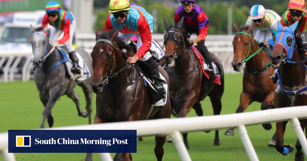 David Hayes expects Ka Ying Emerging to respond to fresh problem in Important Executiveâs Cup | HK Racing newsfragment