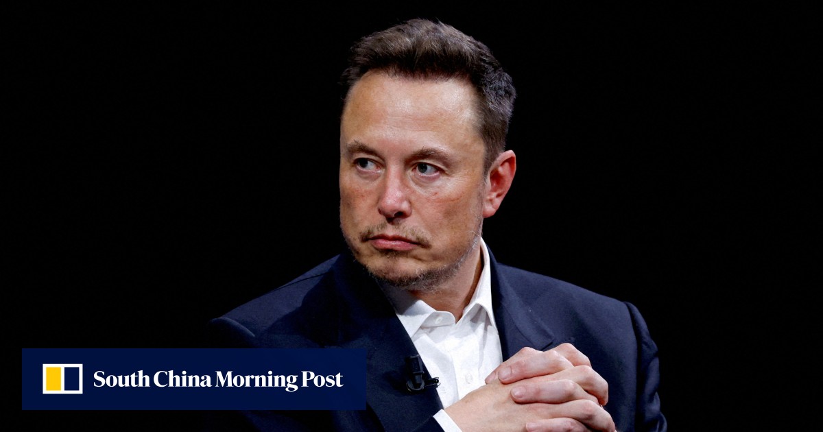 Trump Says He Ll Appoint Elon Musk Head Of Government Efficiency