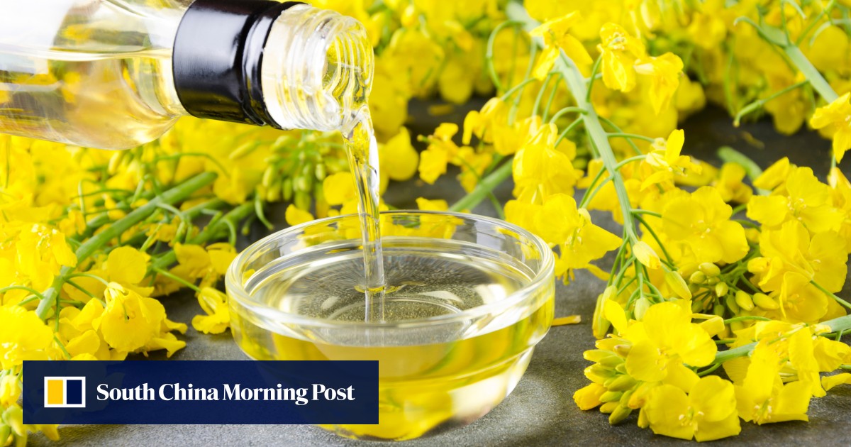 Seed oils lower stroke risk, cholesterol despite social media warnings, according to expert