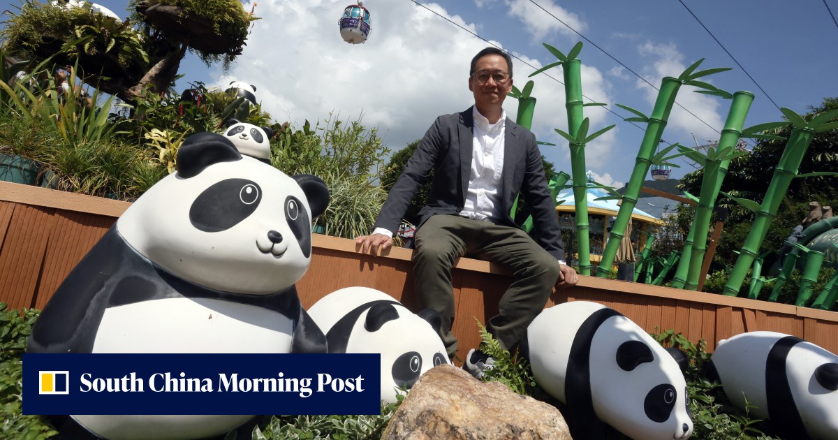 Hong Kong’s Ocean Park may live-stream panda cubs before highly ...