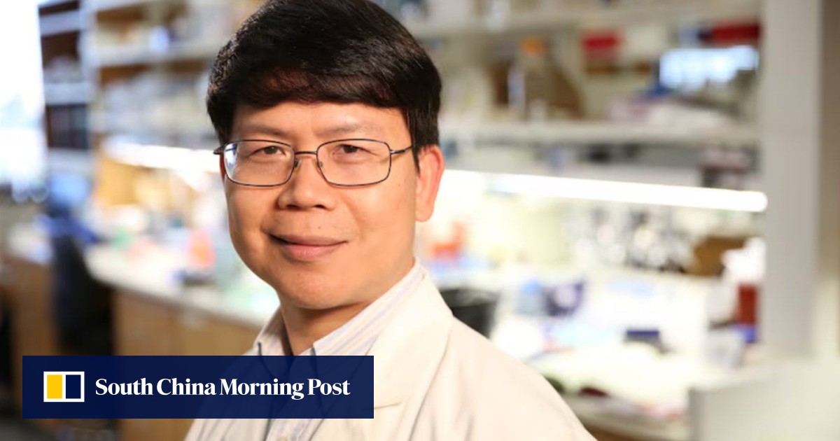 China-born scientist Chen Zhijian wins ‘The united states’s Nobel’ for clinical analysis