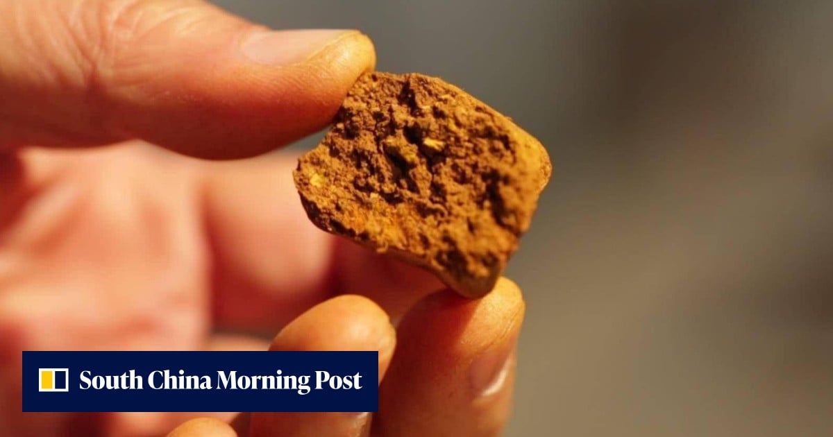 Are ox gallstones the new gold in Hong Kong? Report finds rising demand ...