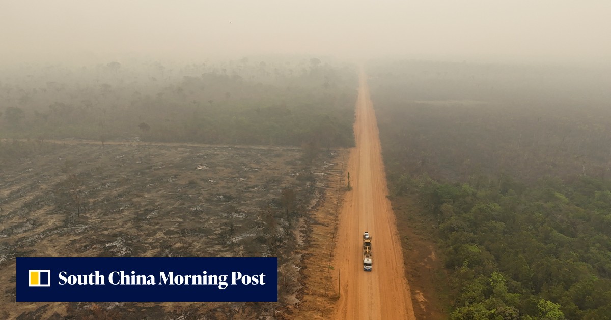 Amazon rainforest has lost an area the size of Germany and France ...