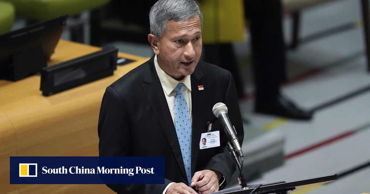 Singapore Foreign Minister Calls for UN Veto Reform