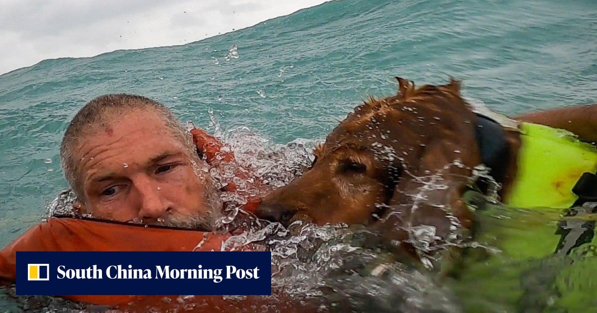 US coastguard rescues man and dog from sinking boat during Hurricane ...
