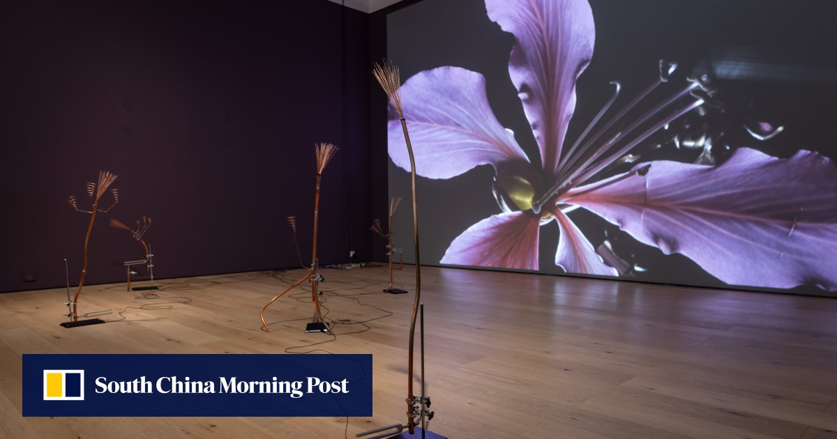 Hong Kong Pop Art Exhibition in New Jersey
