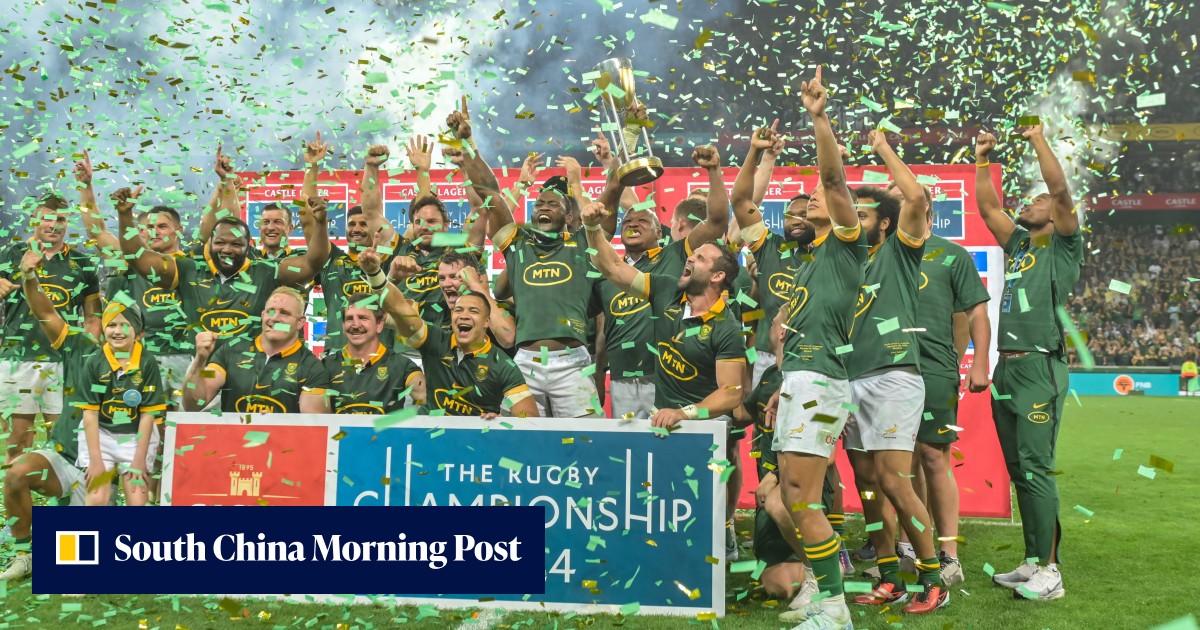Springboks up for sale to private equity group, SA Rugby to hand over ...