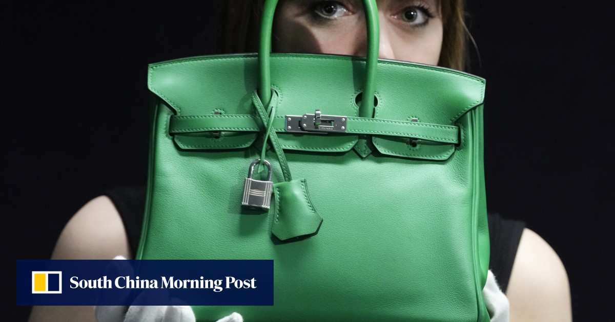 Americans suing for right to buy Hermès Birkin bags add fraud, false advertising claims