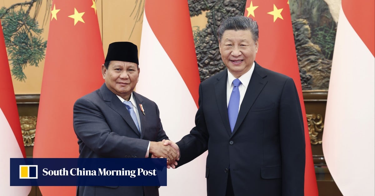 Indonesians see China as closest ally and biggest threat: survey