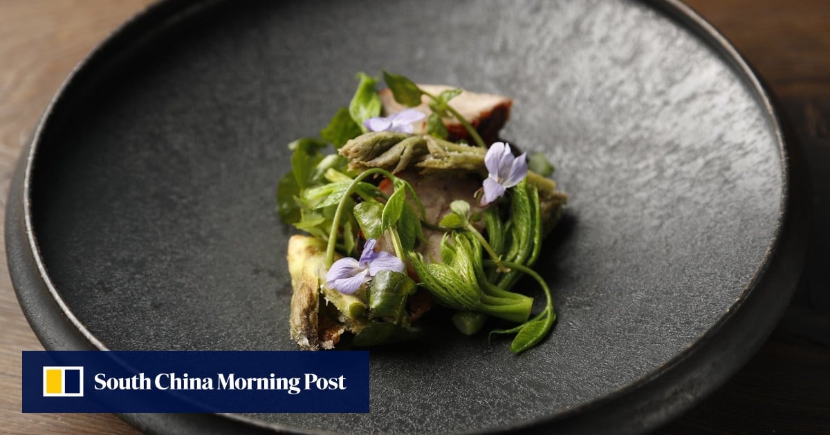 7 of the best restaurants in Niigata, Japan’s rising food destination 7 of the best restaurants in Niigata, Japan’s rising food destination