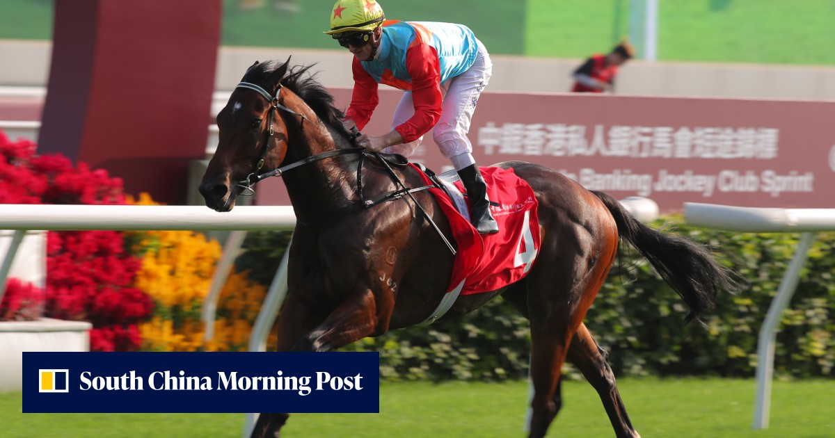 What makes Ka Ying Rising one of the most exciting prospects in world ...