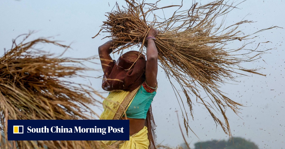 Recap | Lula pushes action at G20, Asia’s rice revolution, Hongkongers ...