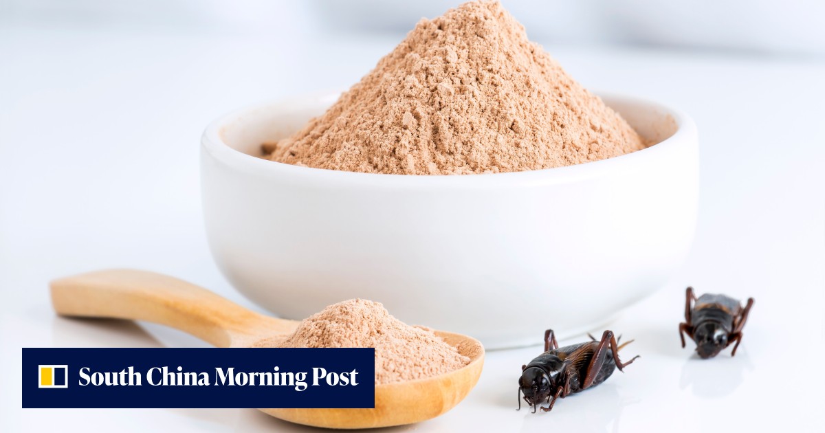 In Japan, a protein pioneer’s edible insect experiment fails to fly ...
