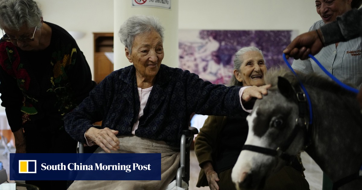 Joy and Healing: Miniature Horses Bring Comfort in Greece