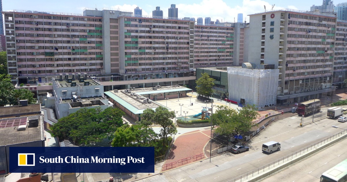 Probe launched after 2 dead puppies found on Hong Kong shopping centre roof